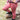 Rijbroek Equitights Diva Mauvewood Full Grip