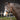 Kaptoom hoofdstel Leder Comfort
