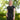 ELT functioneel shirt Springfield