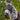 Ekzem-Fliegenmaske Zebra