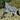 Bucas Buzz-Off Zebra & Neck