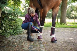 Leg Protection Horse