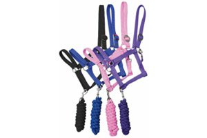 Halter & Leads