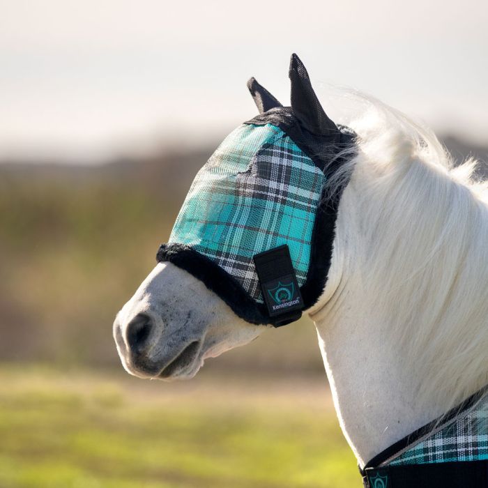 Kensington Fly Mask Buy Online Minihorseshop Co Uk