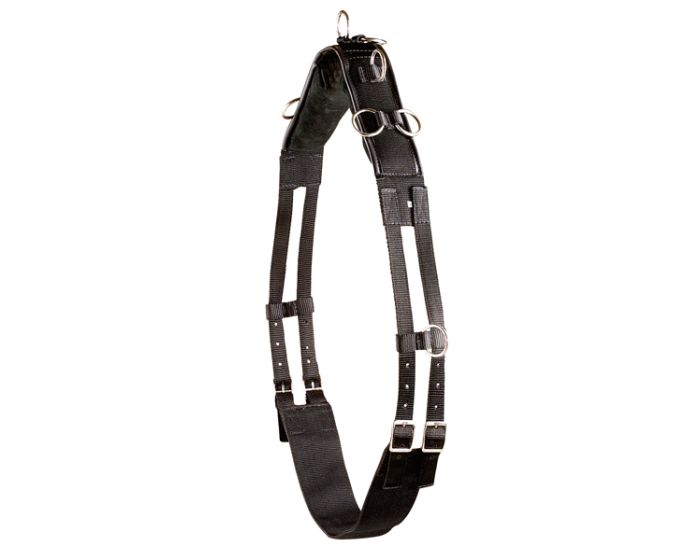 PFIFF lunge roller with leather pad main product photo