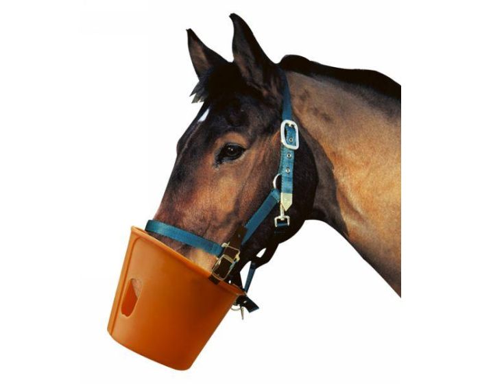Muzzle online cheap