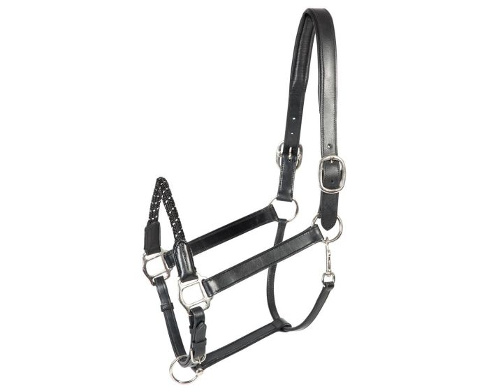 PFIFF platinum, leather headcollar 'VENZELO' main product photo