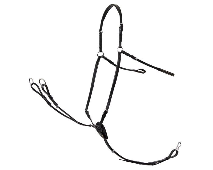 BR Stratford breastplate main product photo