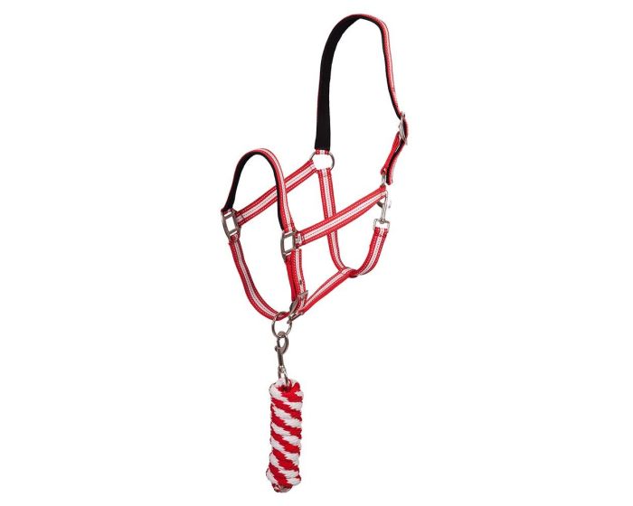 Premiere Headcollar set Stitch main product photo