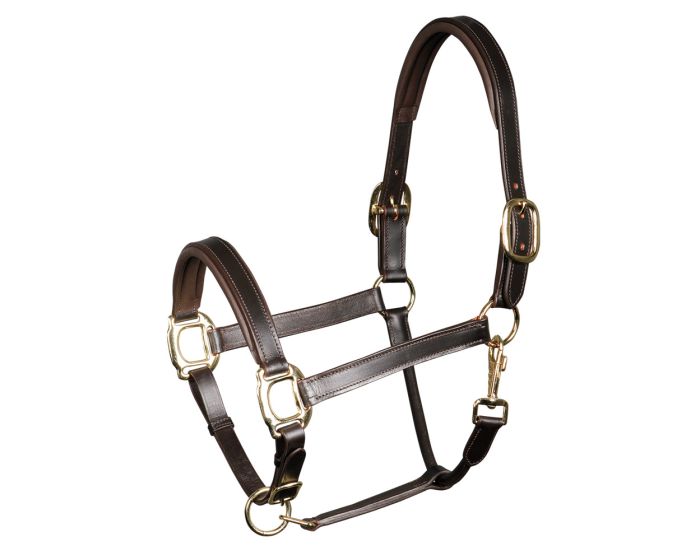 Harry's Horse Halter leather, padded main product photo