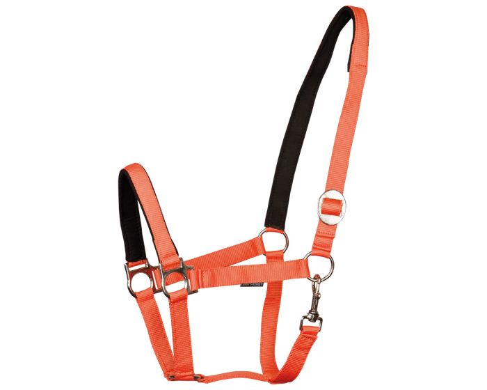 Harry's Horse Halter bridoonded main product photo