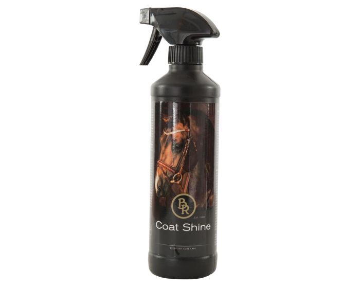 BR Gloss spray 500 ml main product photo