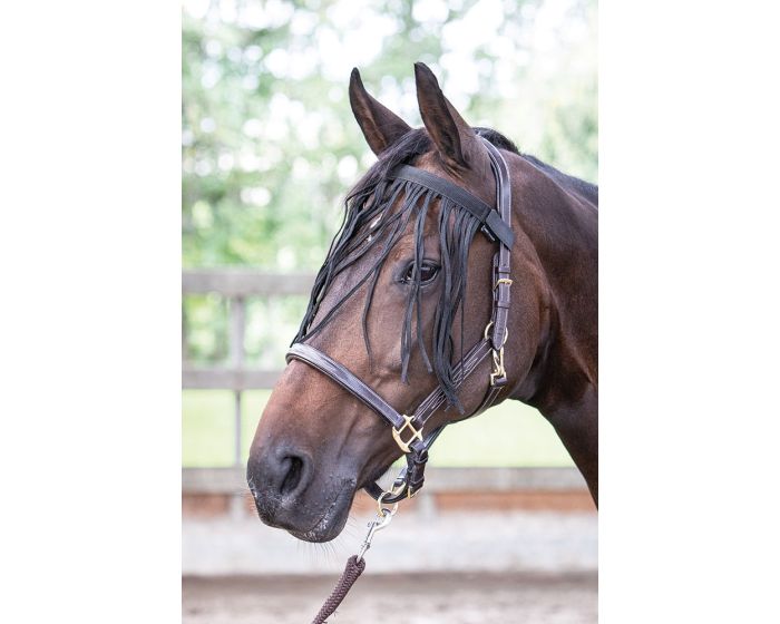 Harry's Horse fly fringe main product photo