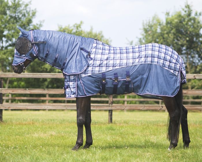 Fly sheets for horses discount