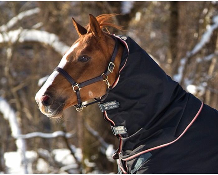 Horseware Rambo Optimo Hood 0G main product photo
