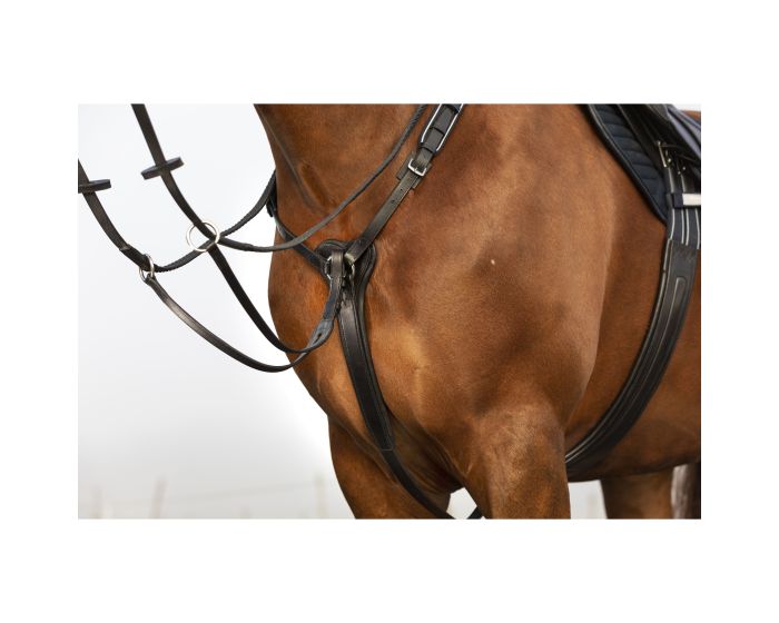 Horseware Products LTD Rambo Micklem Martingale main product photo