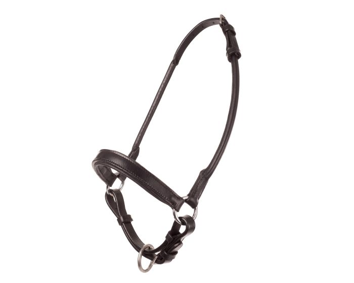 MHS Show Halter Orion main product photo