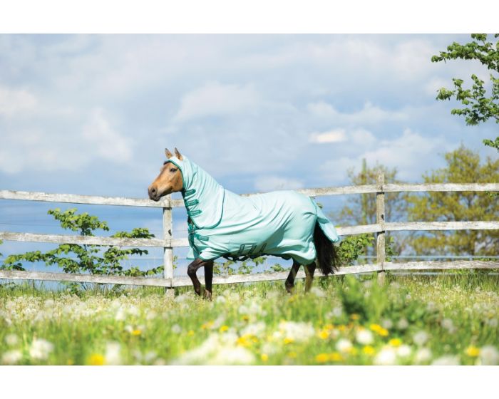 Rambo Pony Sweet Itch Hoody online buying Minihorseshop