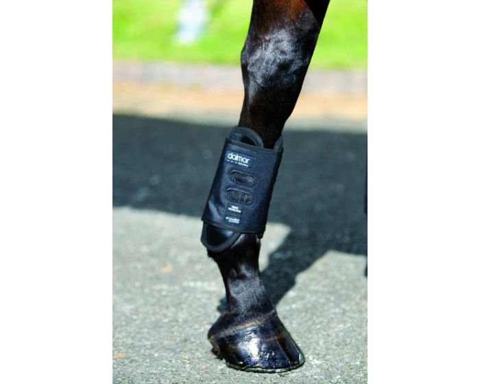 Dalmar Eventer Front Boots buy online Minihorseshop
