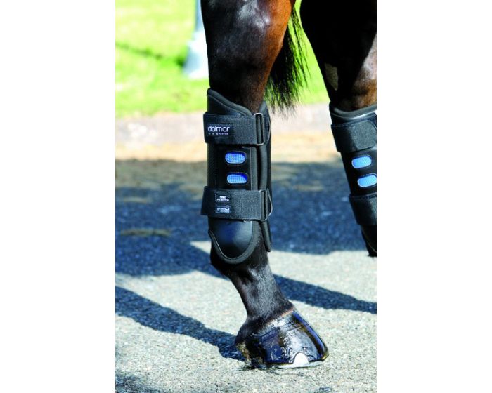 Dalmar boots hot sale