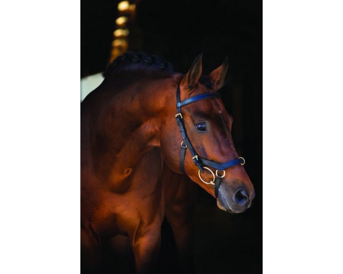 Horseware Rambo Micklem Multi main product photo