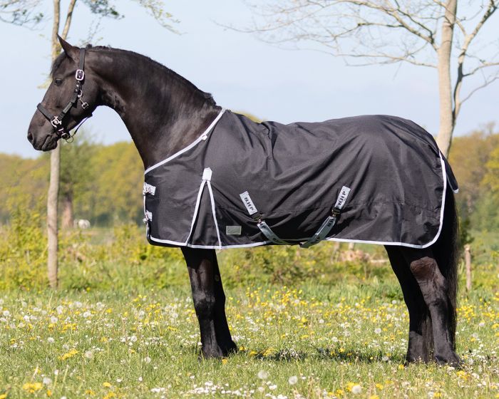 QHP Turnout rug XL 0gr main product photo