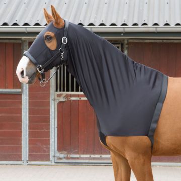 Harry's Horse Chest protector / hood lycra