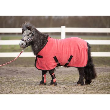 Harry's Horse Fleece rug STOUT! Coral