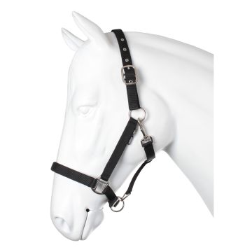 horka NUBUCK HALSTER