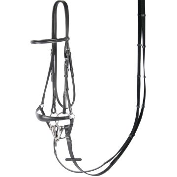 Harry's Horse Bridle Bronze low nose band