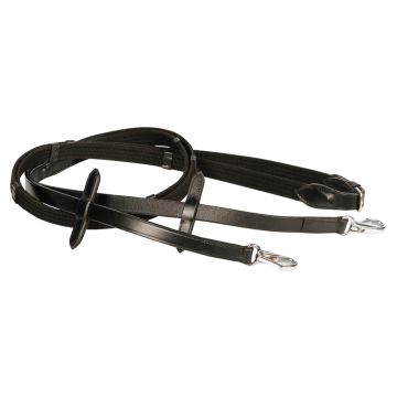 Harry's Horse Reins, webbing, clip closure