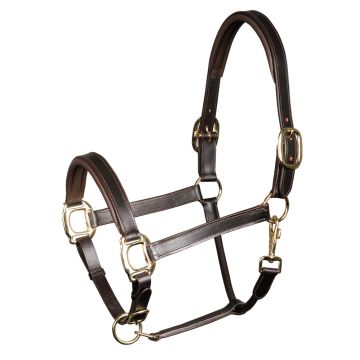 Harry's Horse Halter leather, padded