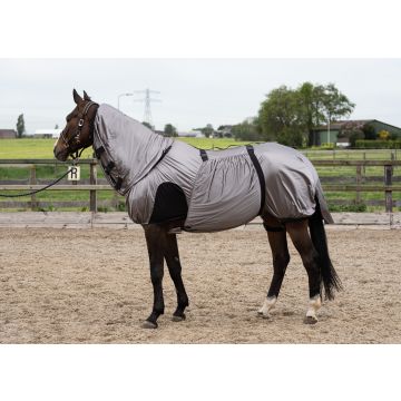 Harry's Horse Eczema/fly blanket UV