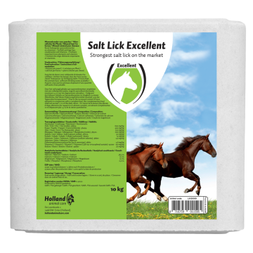 Excellent Lick stonestone Mineral Horse 10 White
