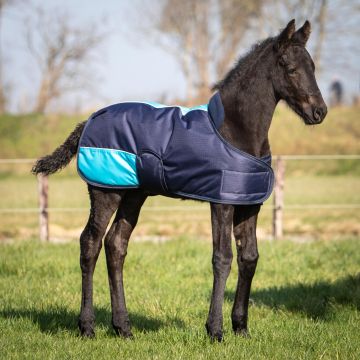 Harry's Horse Foal Blanket TwoTone