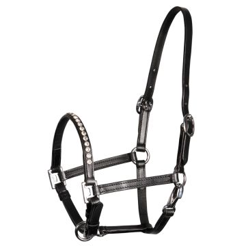 Harry's Horse Pony/foal halter crystal leather