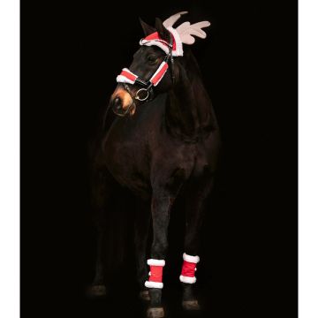 Waldhausen Christmas set for horses