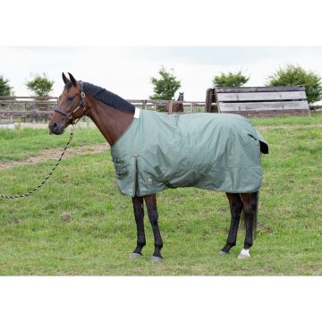 Harry's Horse Rain rug Thor 200gr WI23