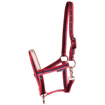 Harry's Horse Foal halter