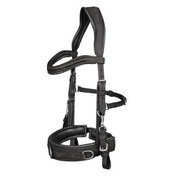 Waldhausen Leather cavesson anatomic