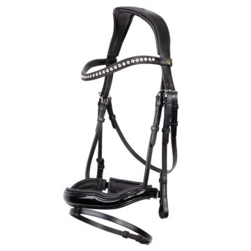 BR Bridle Bolton