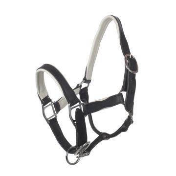 MHS Leather Halter "Two Tone"