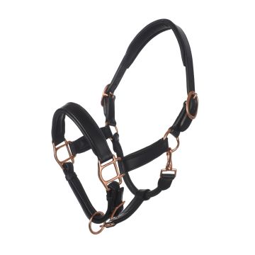 MHS Leather Halter "Excludes"