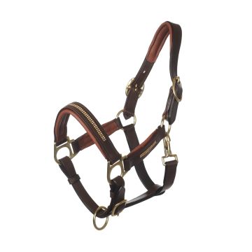 MHS Leather Halter "Bling"