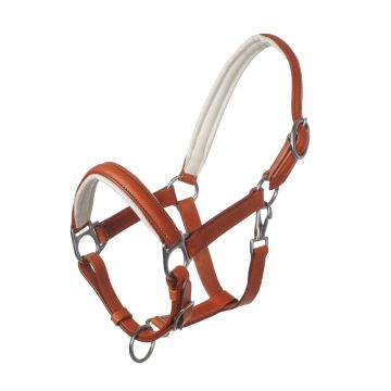 MHS Leather Halter "Mocca"