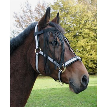 Hofman Fly-brow belt Horse