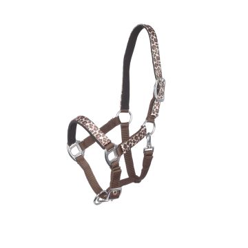 MHS Halter "Leopard Love"