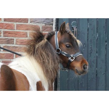 MHS Leather Halter "Two Tone" Mini Jaarling Black / White
