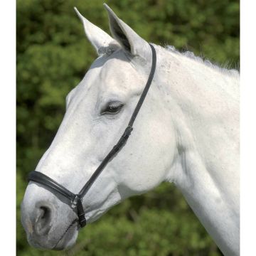 Waldhausen S-Line Hann. Noseband