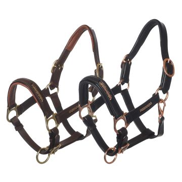 MHS Leather Halter "Shiny"